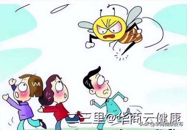 赏花的注意事项,赏花的小技巧