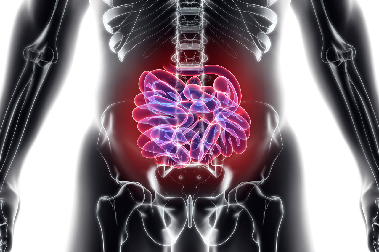 小肠癌在医学上叫什么,小肠癌的病理分析如何