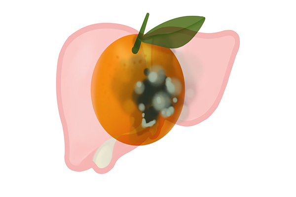 胃不好的人吃什么菜能养胃好得快,什么水果吃了对胃好养胃治胃病