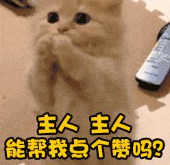 狗狗对你忠心会有这几种表现,狗狗对你爱的表现有哪些