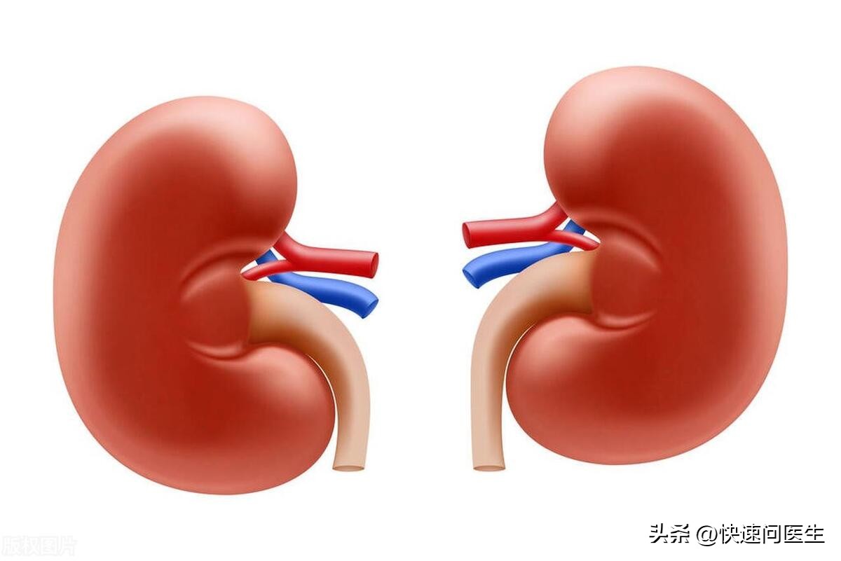 肾功能不好的表现3大征兆需警惕,肾功能不全左手无力是严重表现吗