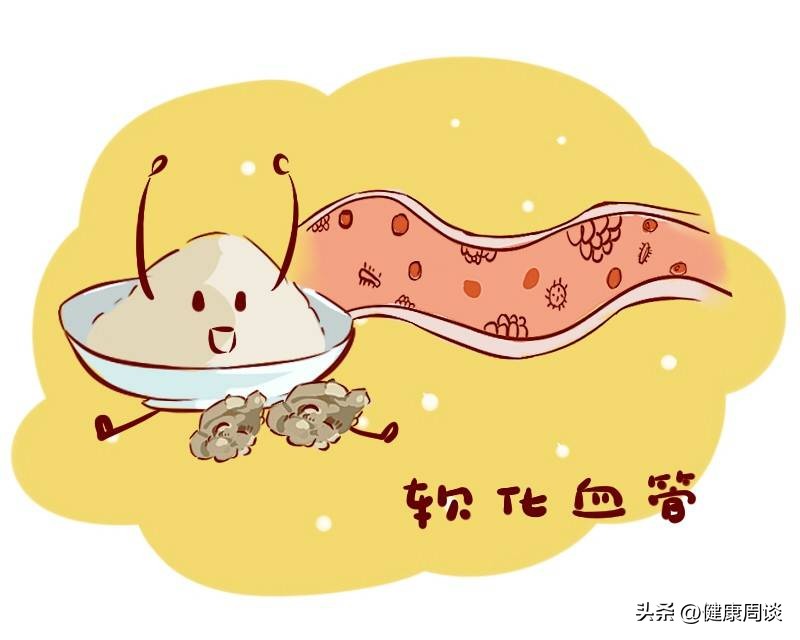 三七介绍三七的功效与作用有哪些,三七的功效与作用及禁忌症是什么