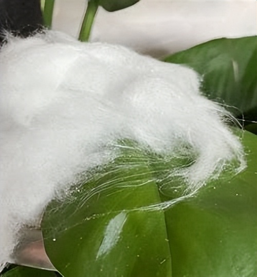 矿物增强纤维,天然矿物纤维