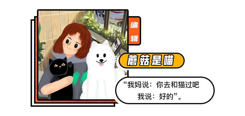 抖M大橘猫酷爱被打屁股，否则就骂骂咧咧：我是你修来的一屁股债