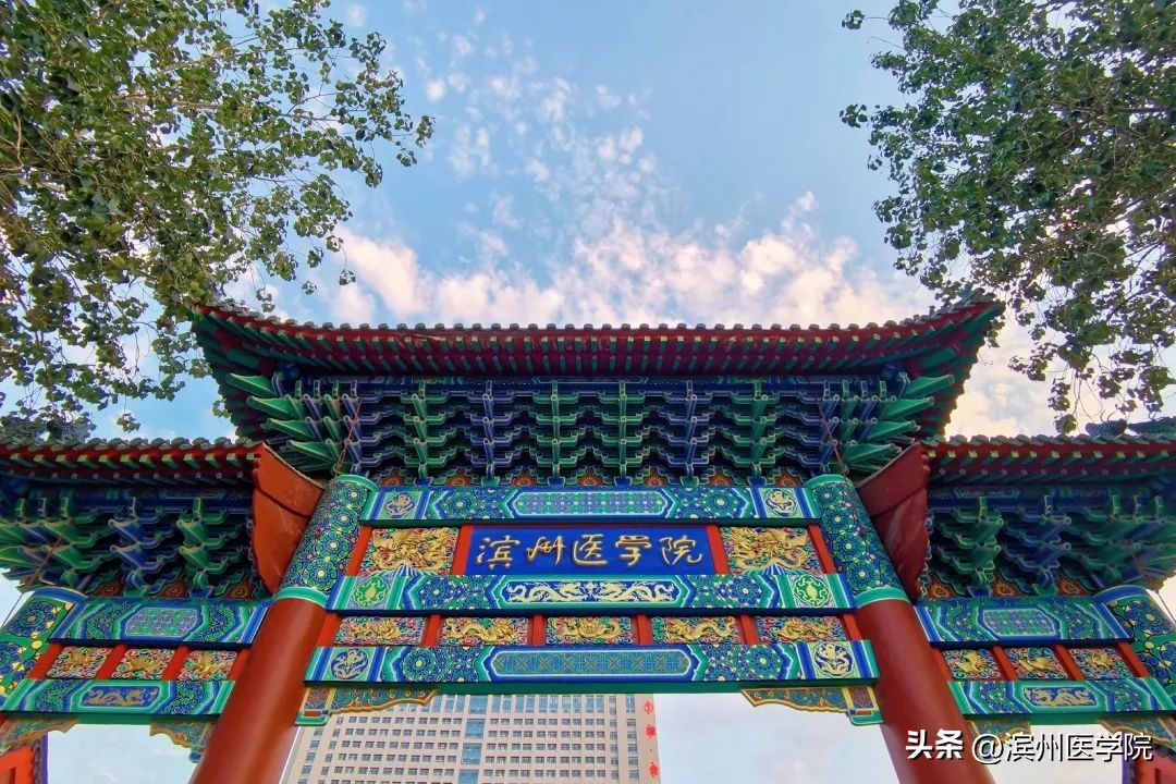 滨州医学院2023年本科招生计划,2020年滨州医学院招生计划一览表