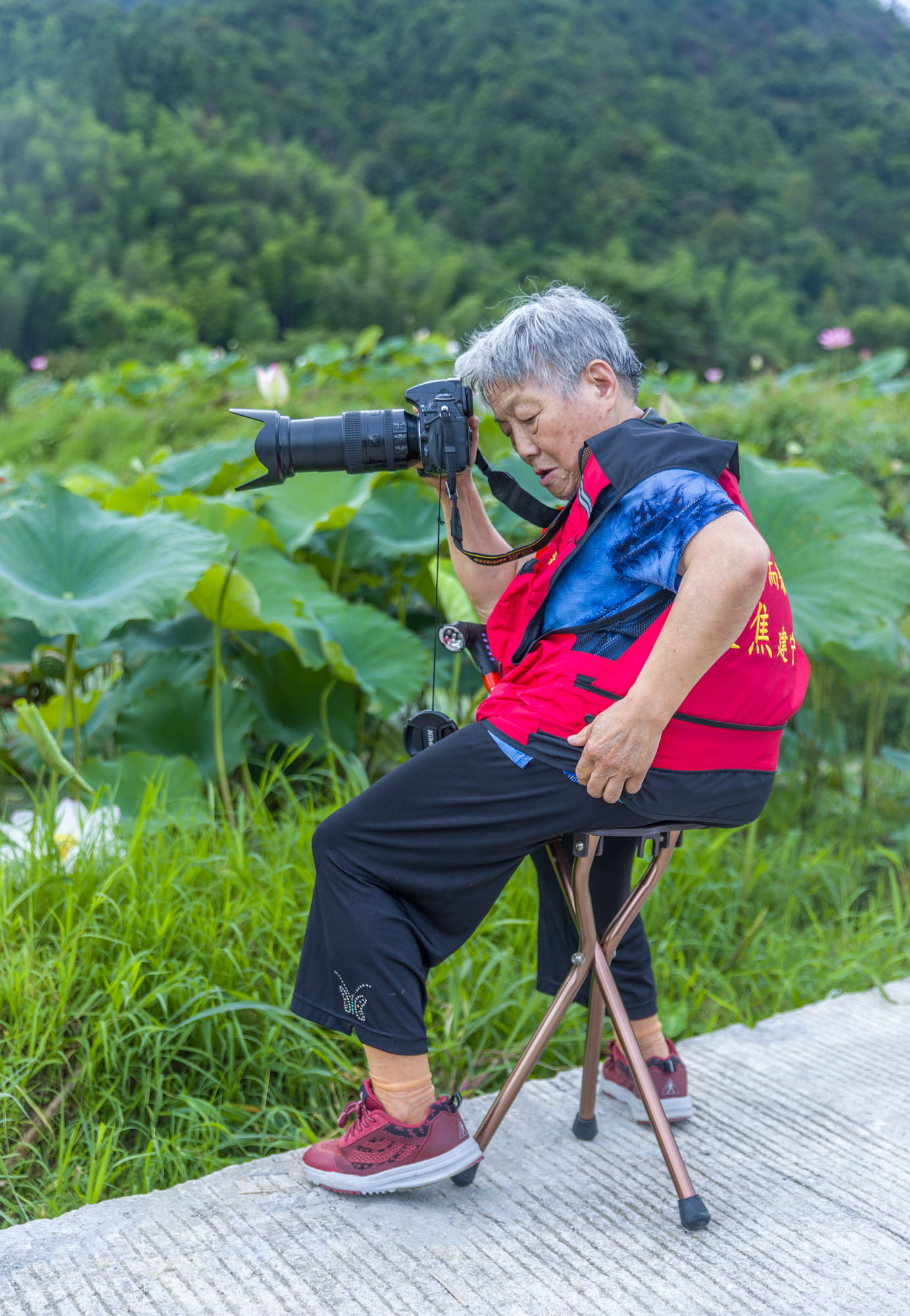 “同话沪明情、四季游三明”来自上海一位老摄影家的感人瞬间