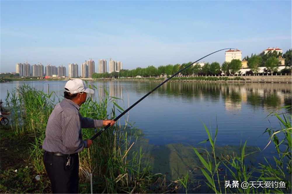 春季野钓鲫鱼提高鱼获的几大技巧,秋季野钓大鲫鱼最佳方法