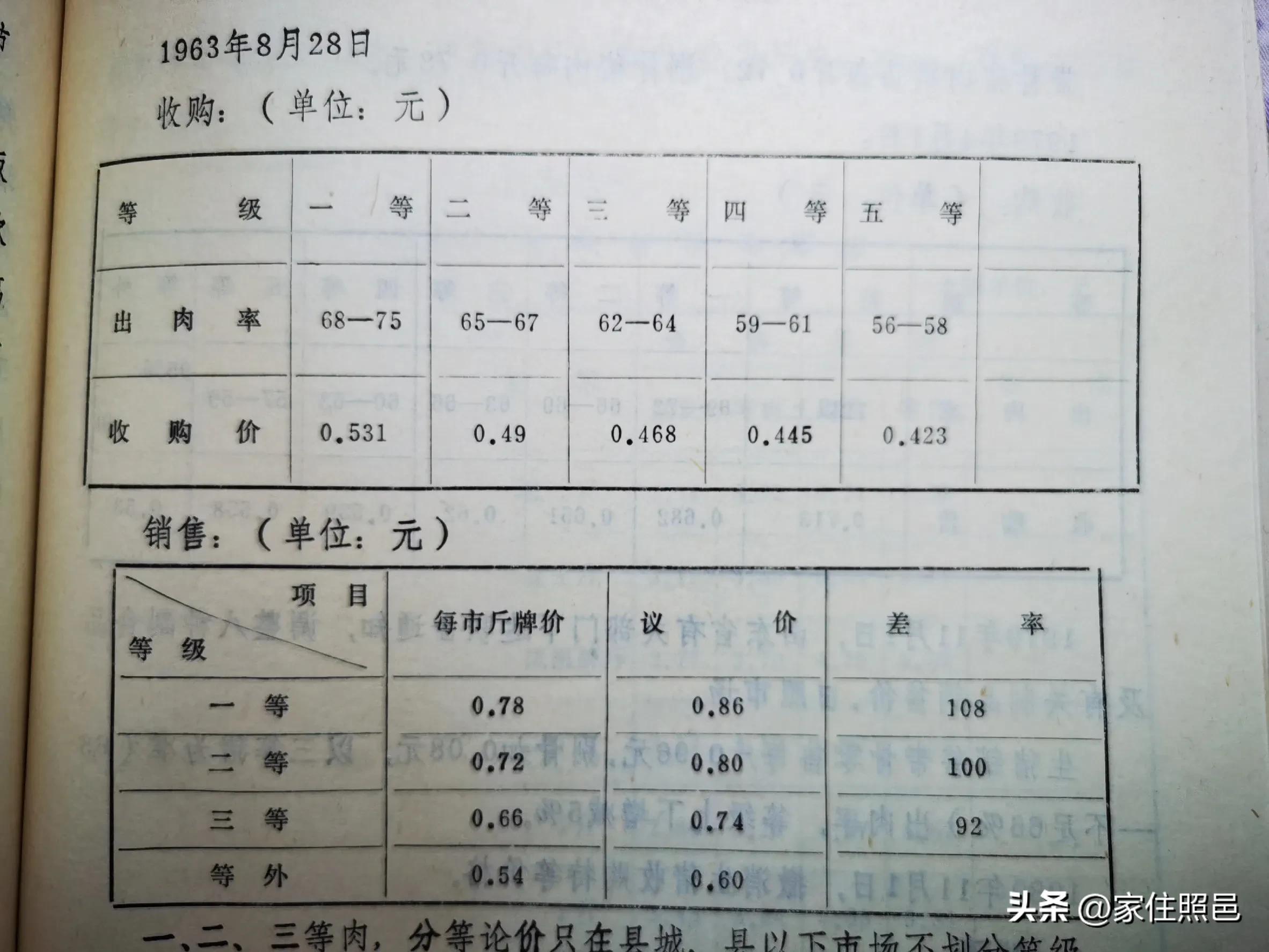 日照有什么好玩的地方,日照绿茶价格表