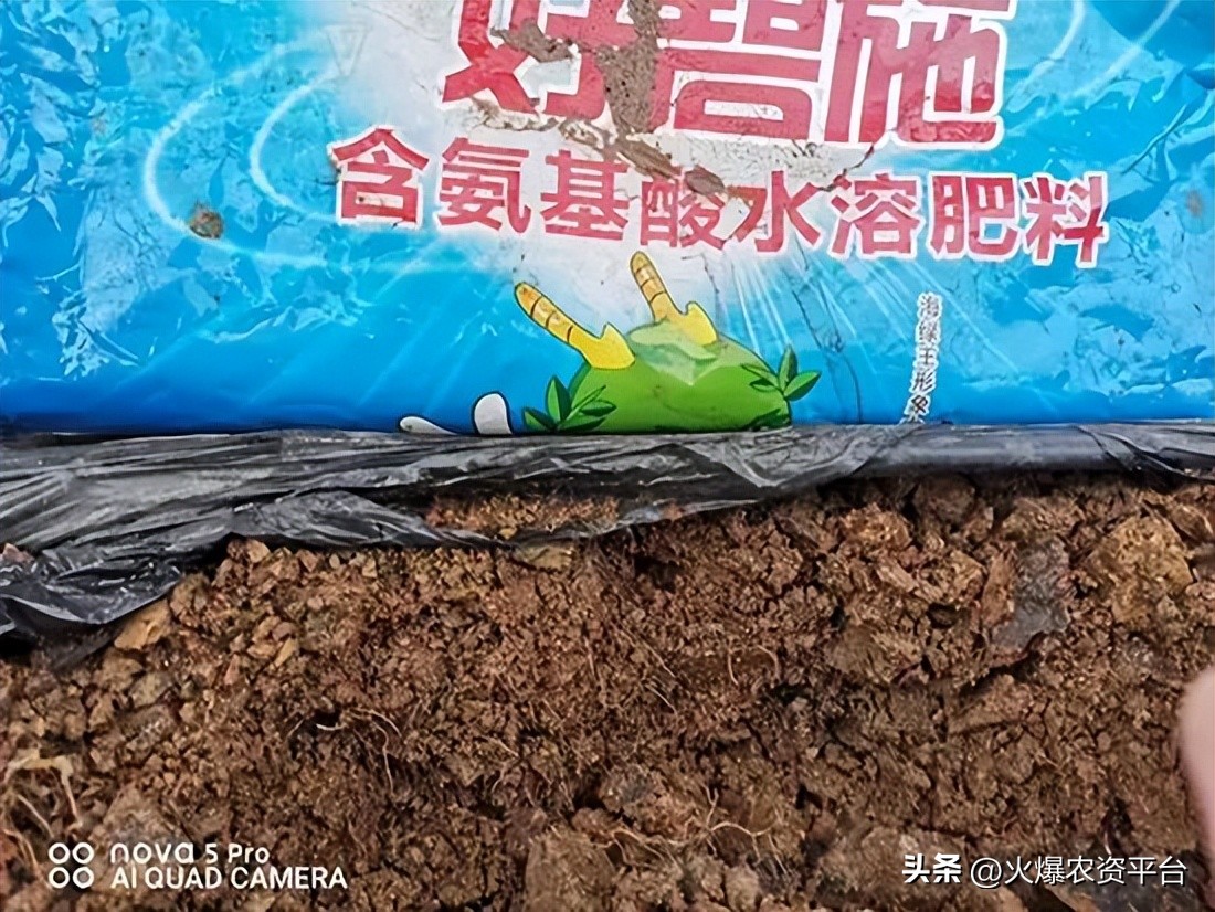 氨基酸肥料的9大优势,做农资需要掌握的知识