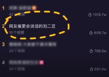 猫界顶流刘二豆,喵界顶流二豆