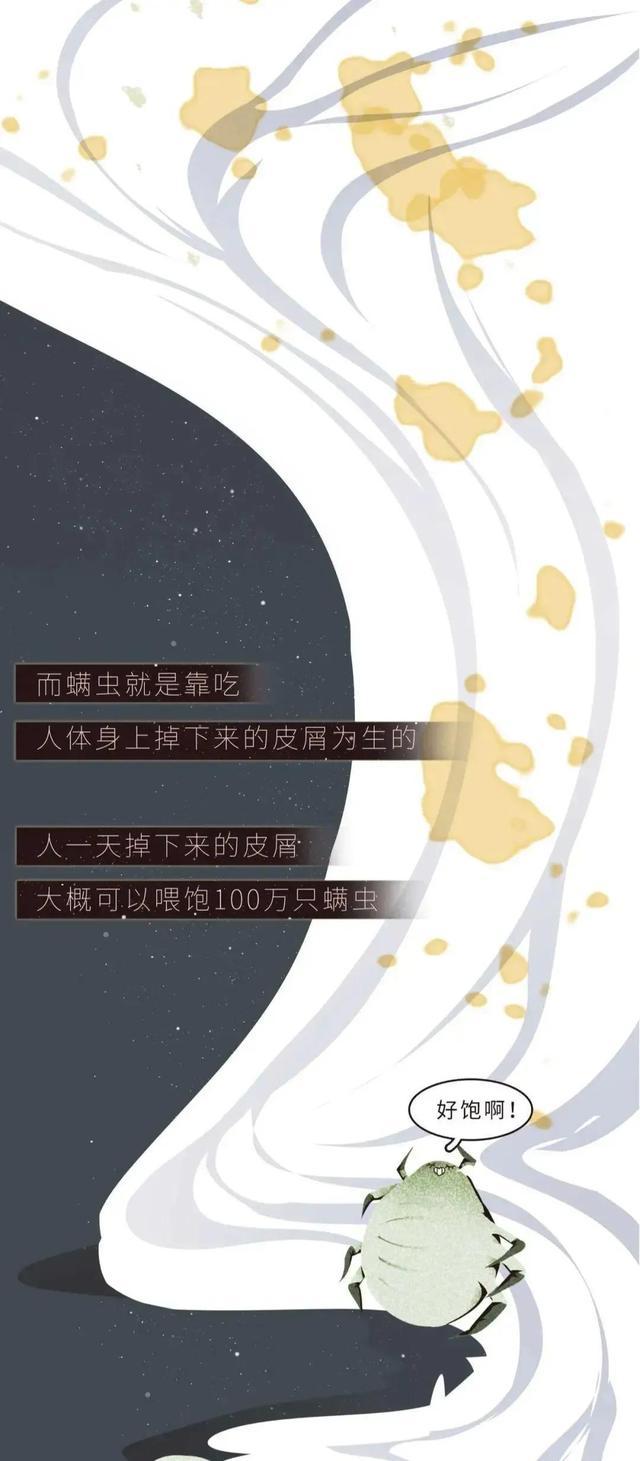 女孩子的床为啥脏,女孩子的床有多整洁