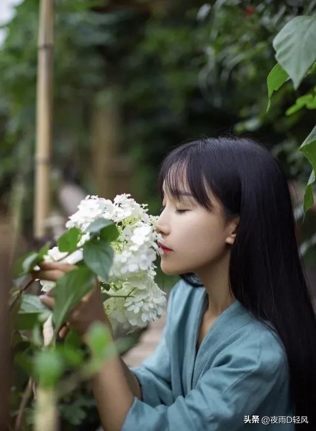 李子柒还能复出嘛,李子柒复出还能东山再起吗