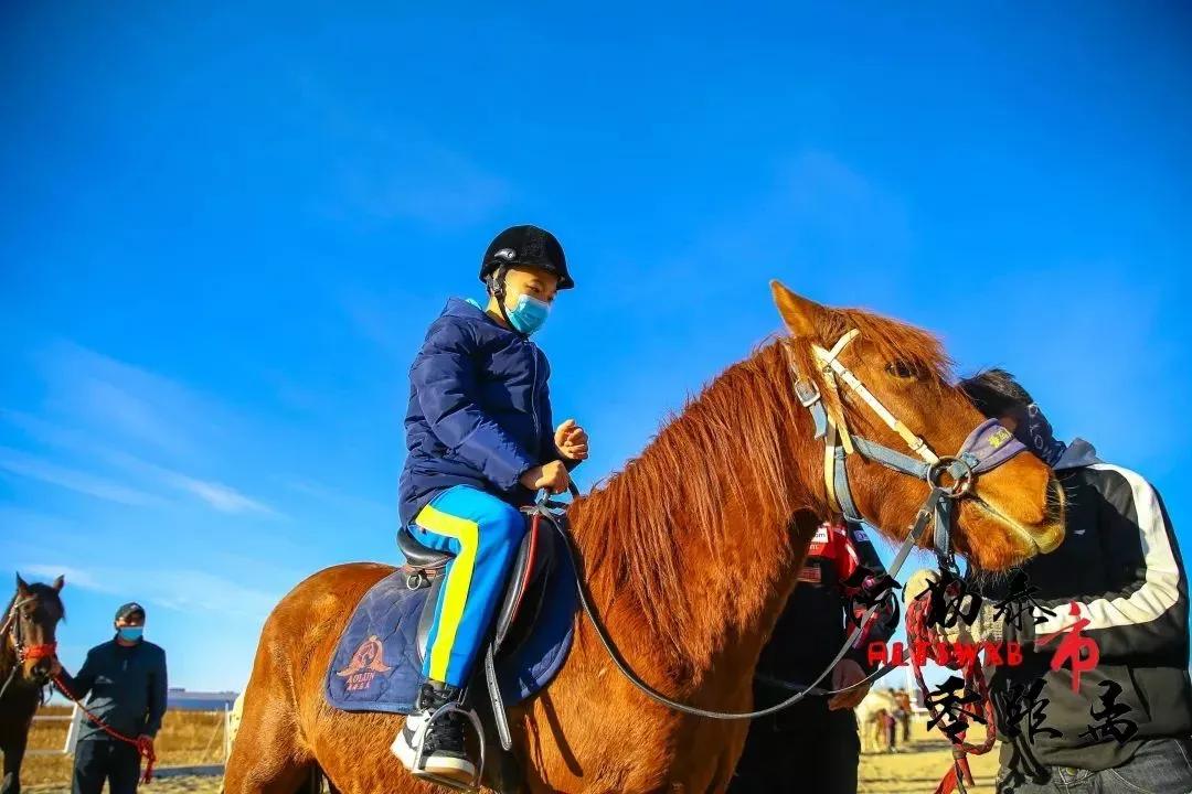 夏天骑马冬天滑冰,夏天骑马冬天骑骆驼