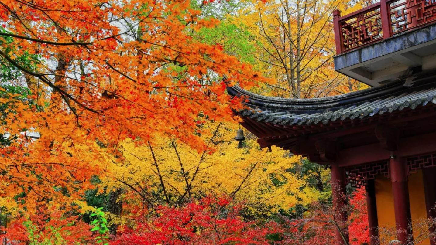 南京一座古迹之城,南京一座古代古都