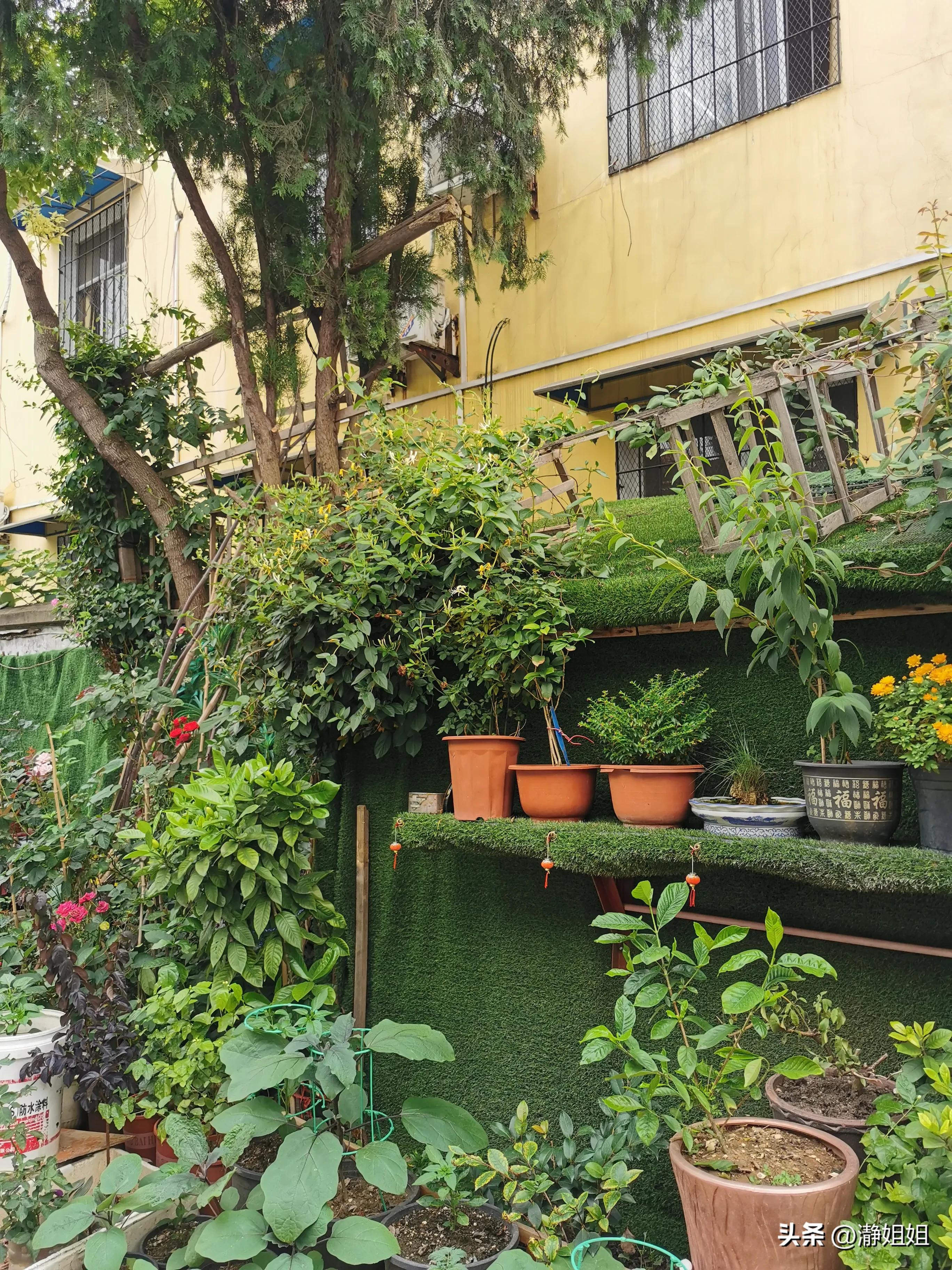 汉阳火车站网红站前花街,汉阳火车站站前花街位置