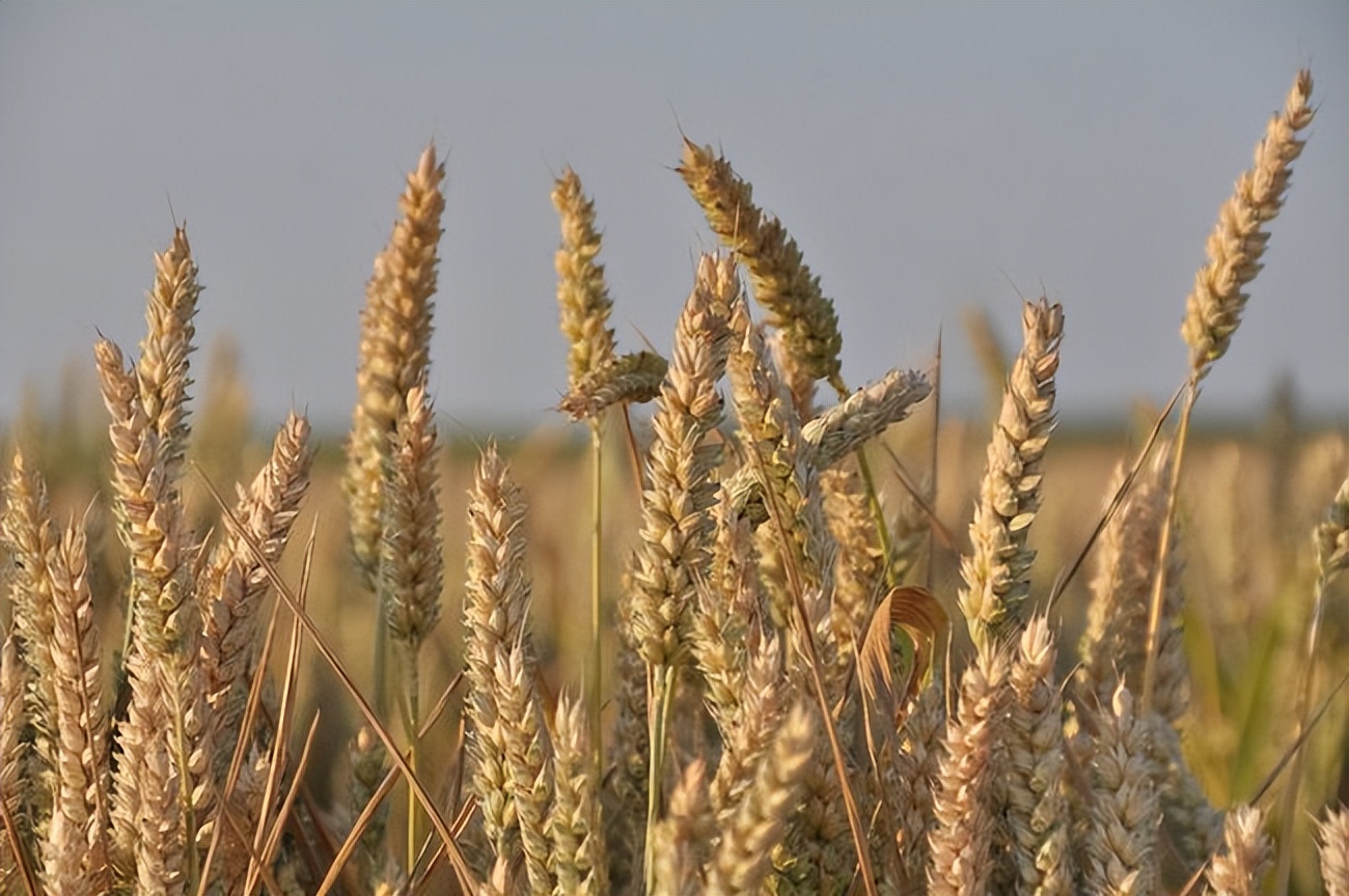 给所有女性提个醒,下巴周围一圈发痒跟hpv有关吗