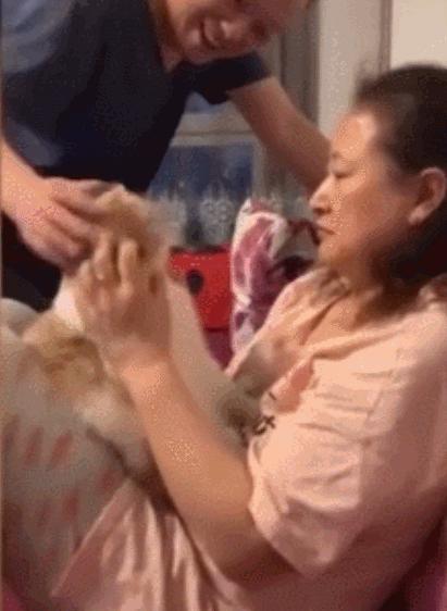 我家猫尿进了洗衣篓里，我爸为了包庇猫说，是他尿的···