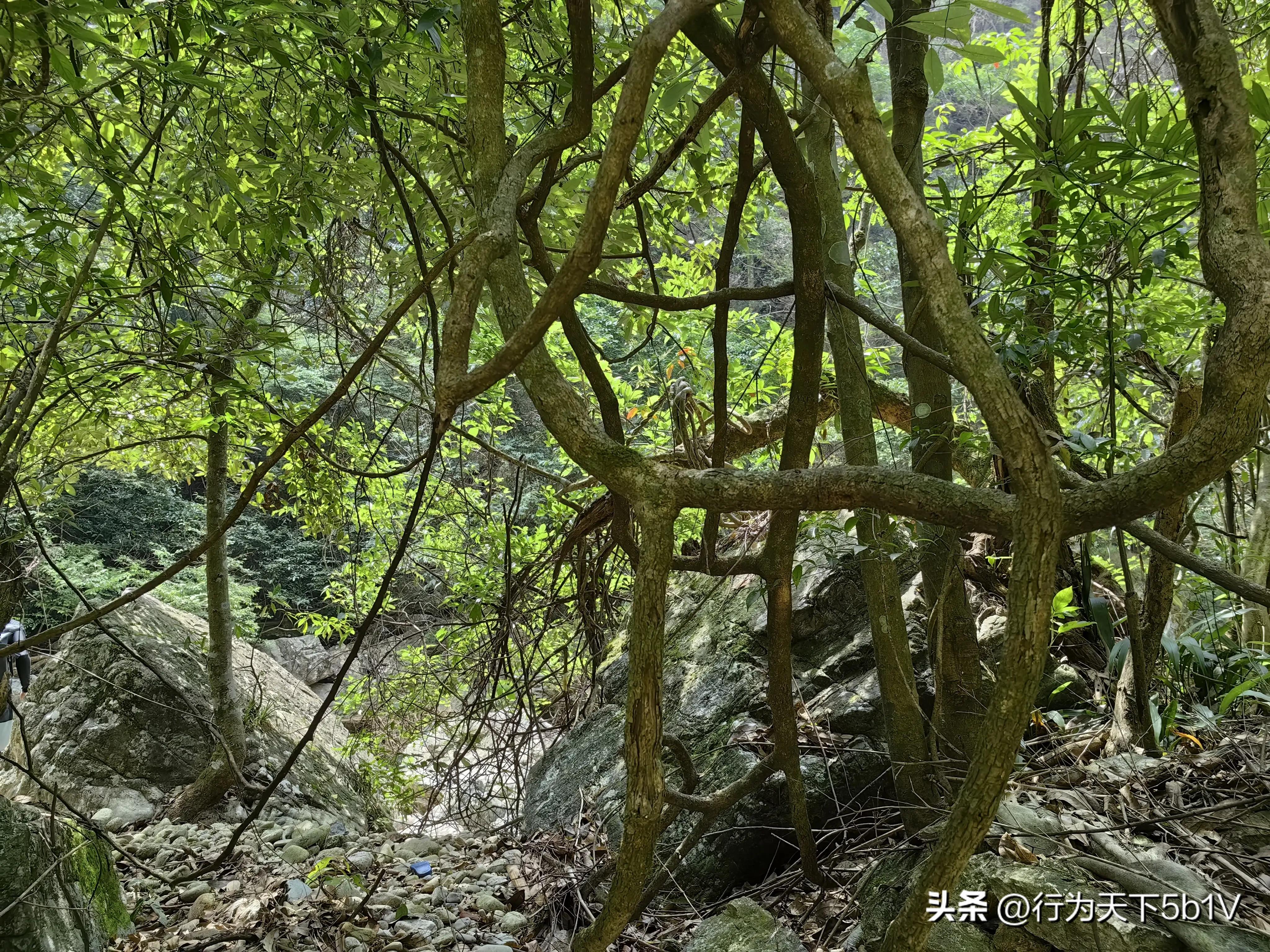 【探秘金紫山下的清凉秘境】行走在资源资江源大峡谷的风景线上