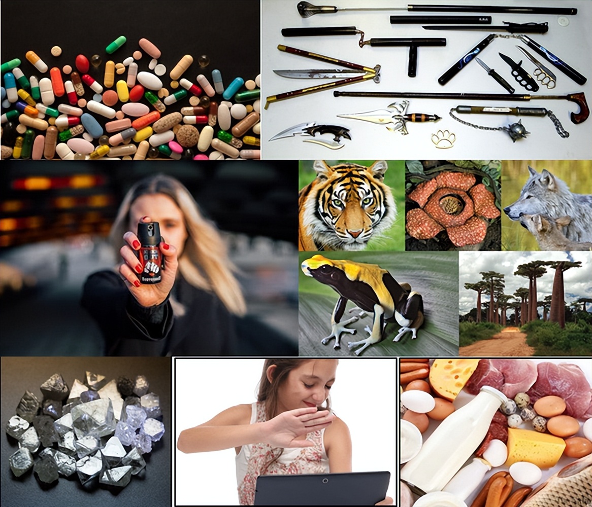 2021留学英国行前经验分享,英国留学行前准备全攻略