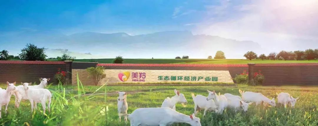 红星美羚老牌羊乳,红星美羚羊奶上市吗