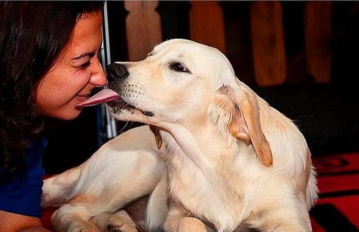 狗狗突然疯狂舔地板呕吐怎么回事,狗狗最近老是到处舔是什么原因