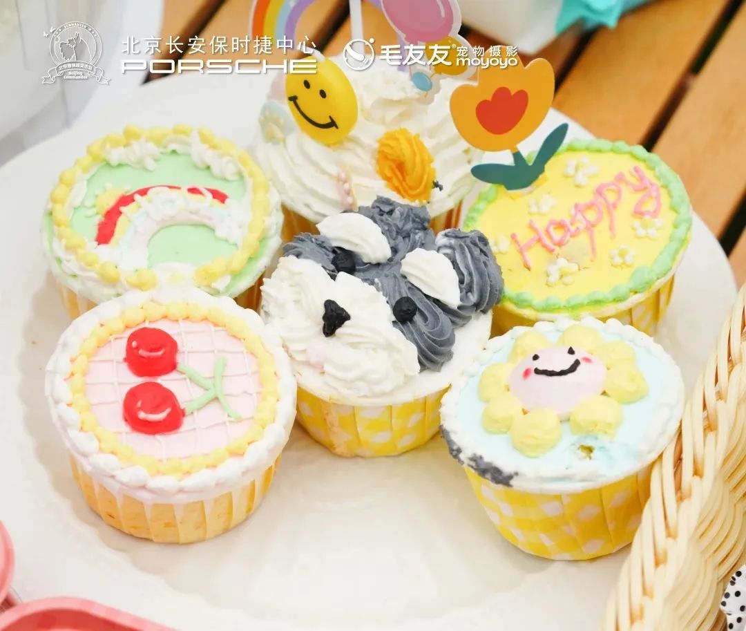 各单位注意！6.9-6.11「萌力全开！宠物文化市集」各摊主已就位！快来Pick你最中意的他