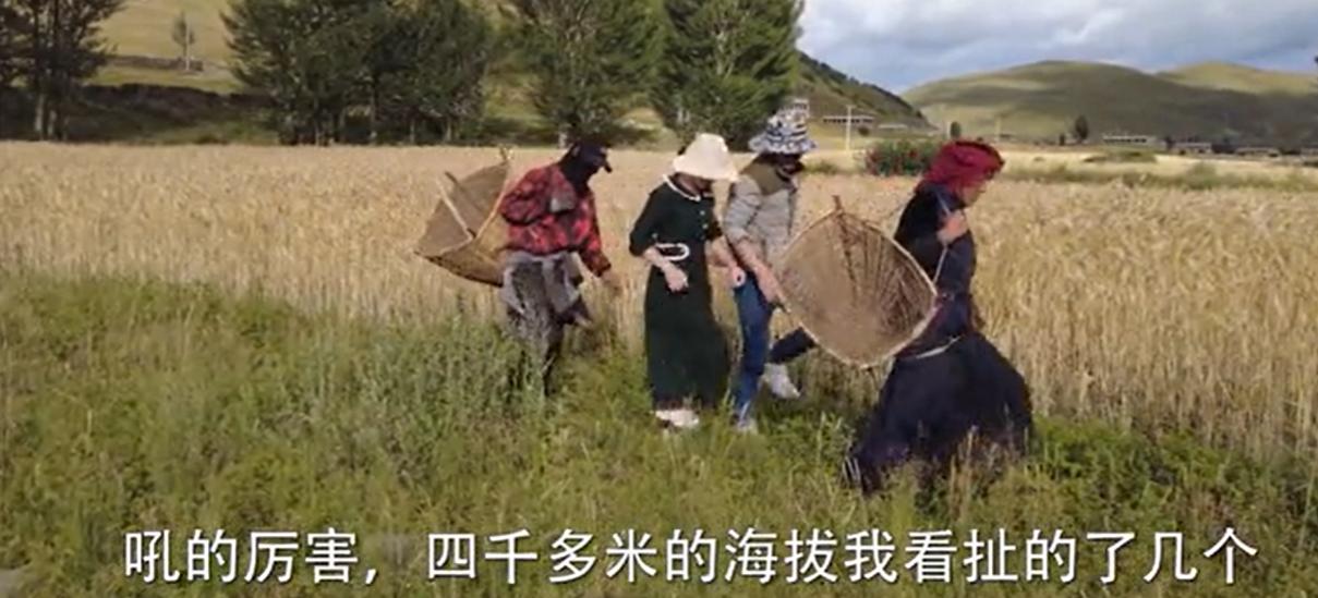 川香秋月打工视频,流水线打工妹逆袭成百亿女首富