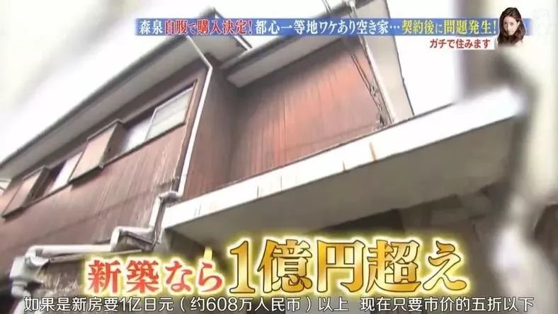 日本林志玲,从模特变包工头!砸4000W买破房,又花500W拆了重装