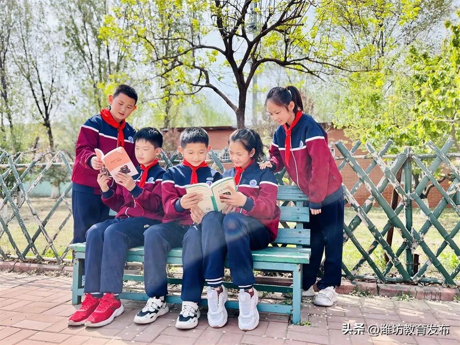 美！潍坊校园春景强势来袭