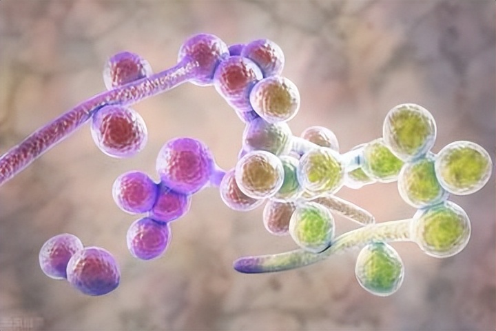 探索声波能否传递能量的实验,新型纳米材料在医学上的应用