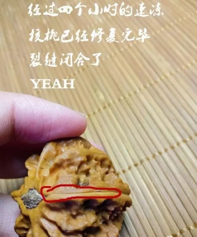 为什么橄榄核可以上油核桃不行,文玩橄榄核为什么裂