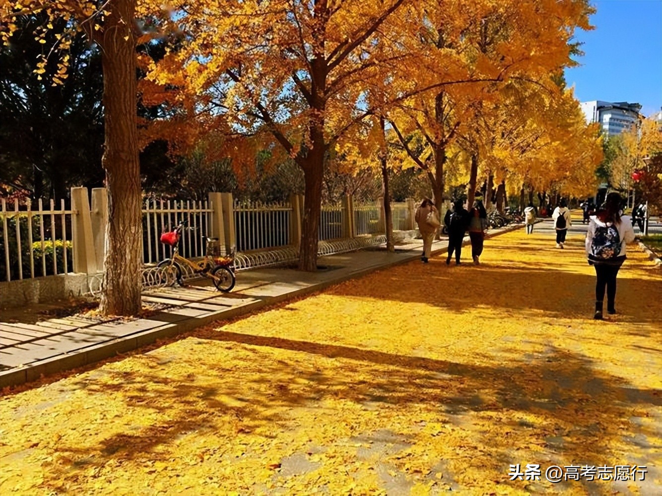 高考就业前景好学校推荐,高考分数不高上哪些学校好就业