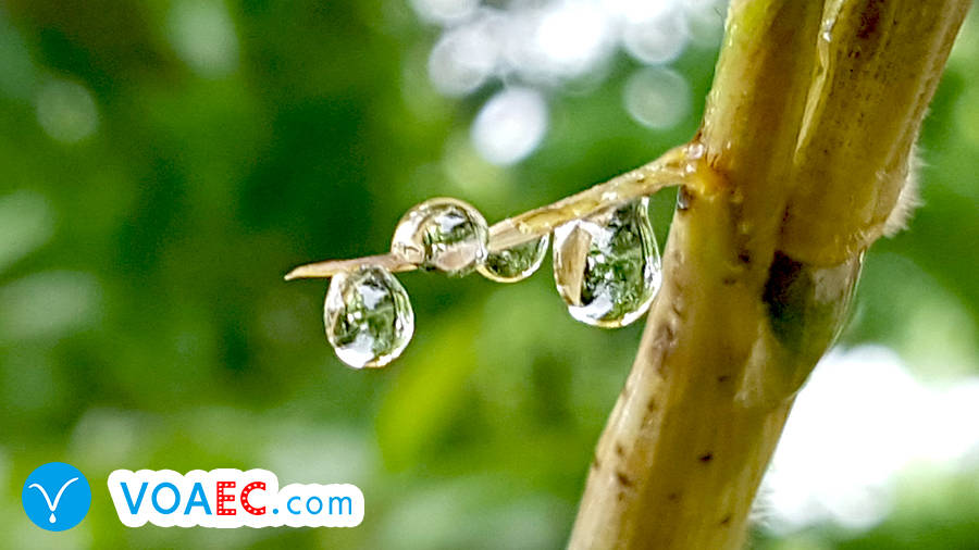 清明节不仅仅只是一个节日,清明节是个好节日吗