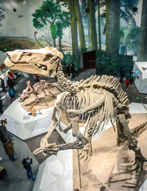 打卡山东博物馆和大明湖,山东博物馆打卡预约