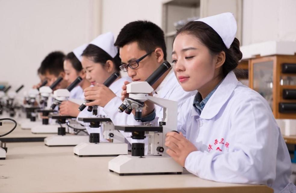 2023临床医学专业排名,2023年高考临床医学分数会降低吗