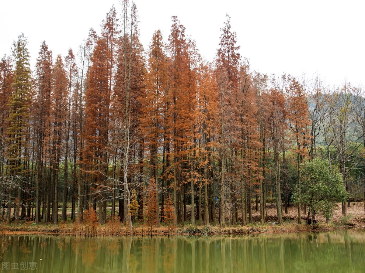 杭州余杭黄湖镇龙坞水库,杭州甘岭水库一日游攻略