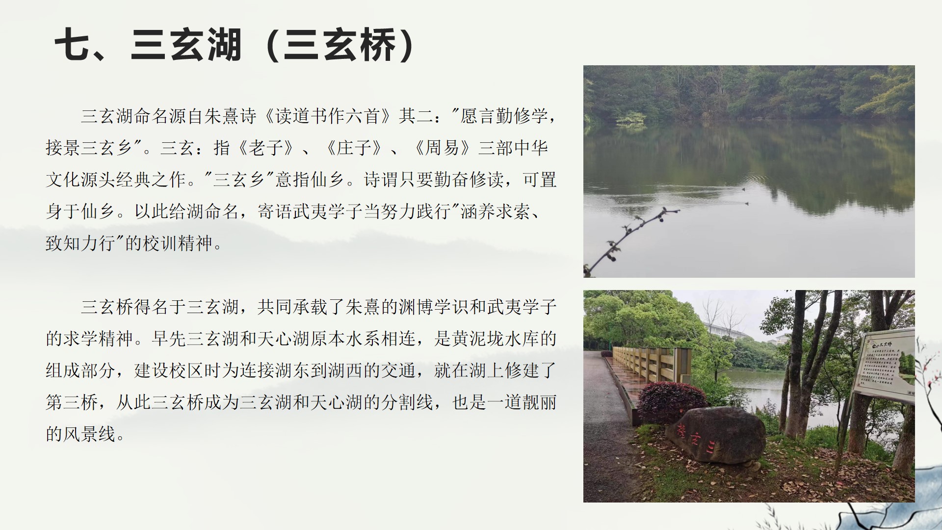 武夷学院野餐,武夷学院校园游览视频