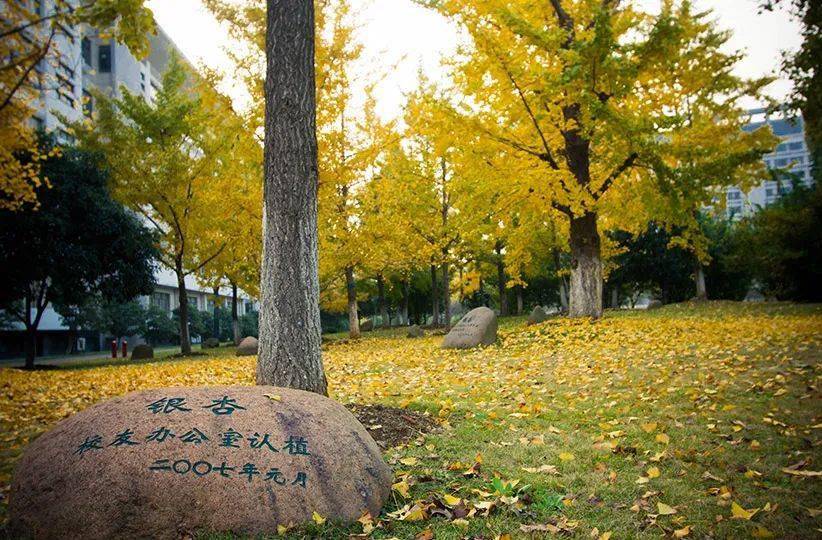浙江工商大学下沙校区在哪个区,浙江工商大学属于哪个区