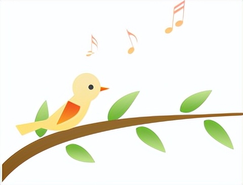 换新苹果手机itunes数据转移,换手机就说旧手机不好用