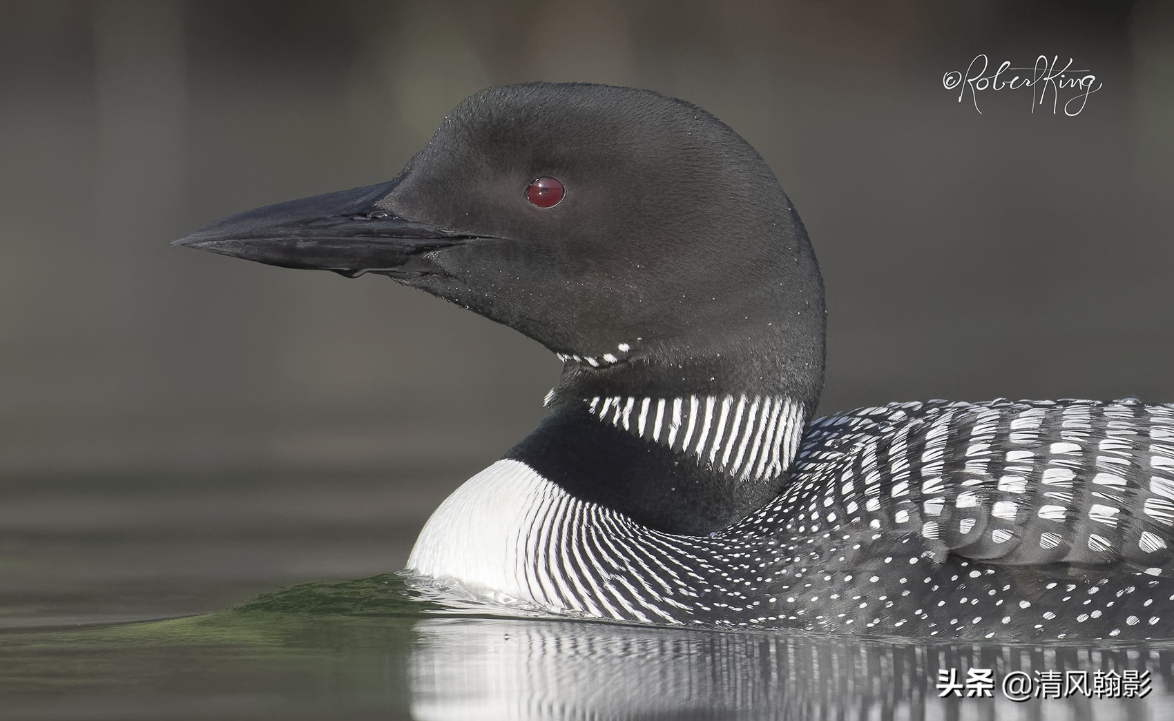 尼康d850拍照有多强,摄影器材篇尼康d850
