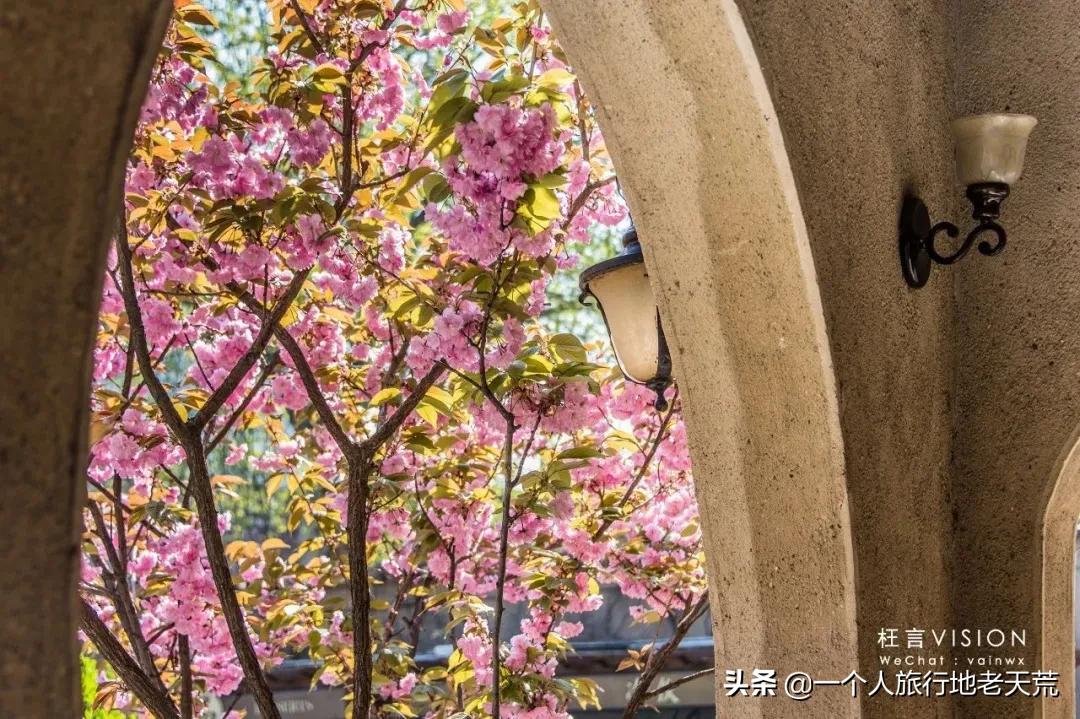 和奥密克戎患者接触多久有症状,天津硬刚奥密克戎