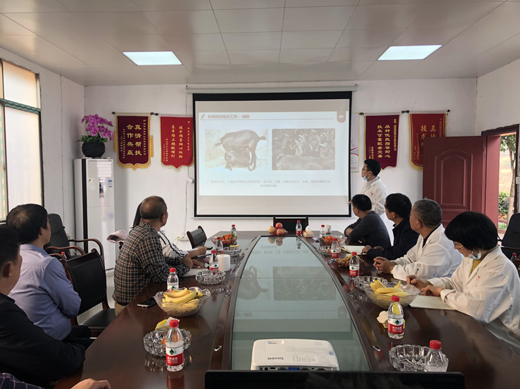 黑山羊病诊断与防治图谱,羊口腔糜烂的治疗方法