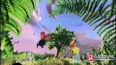 5年来！在中国福地共同见证！