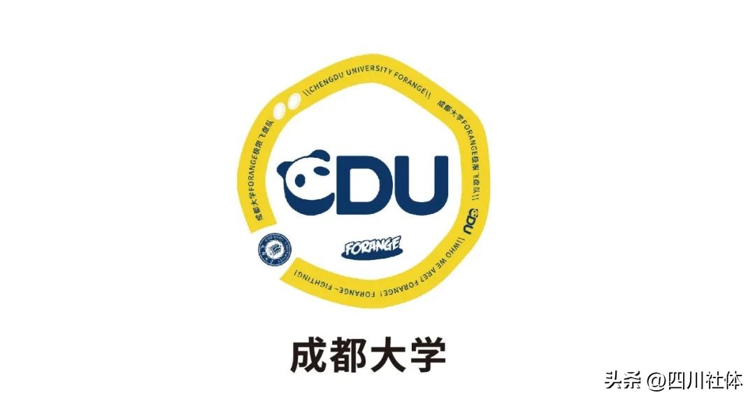 中国飞盘联赛总决赛回放,中国飞盘联赛西南大区决赛