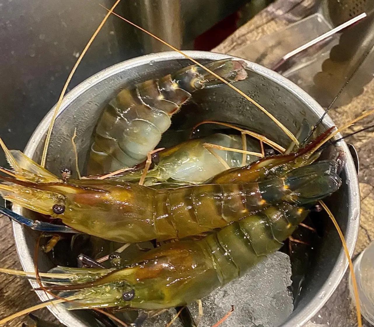 广州捞小海鲜哪家最好吃,广州美食探店珠江新城