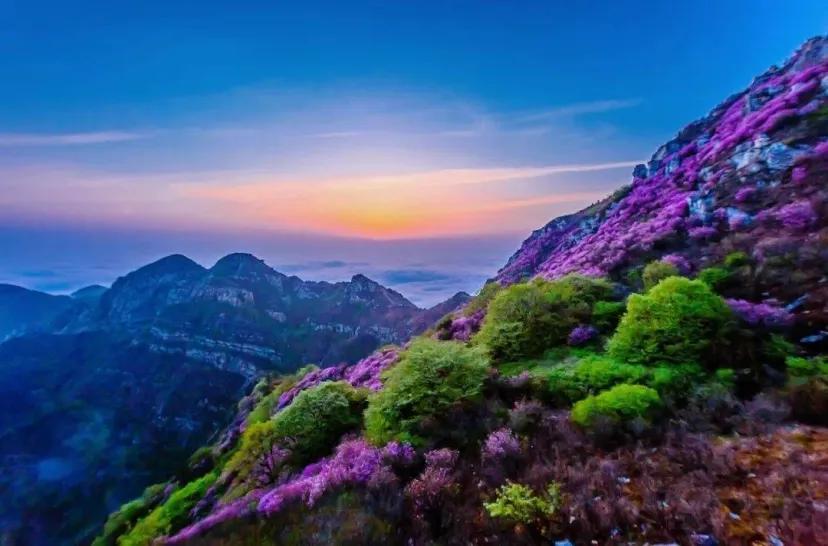 大连市内带孩子春游好去处,大连适合小学生游玩的地方