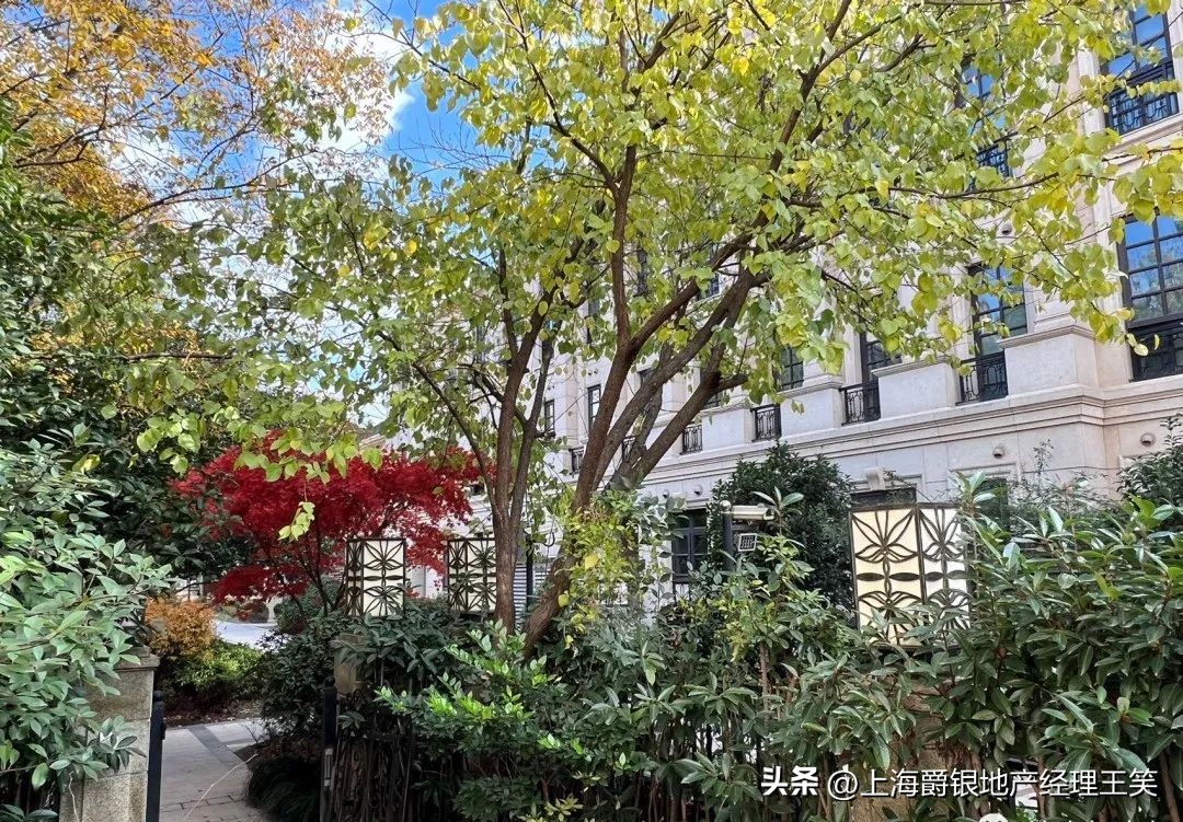 大华伊斐墅多少钱一平,大华伊斐墅小区平面图