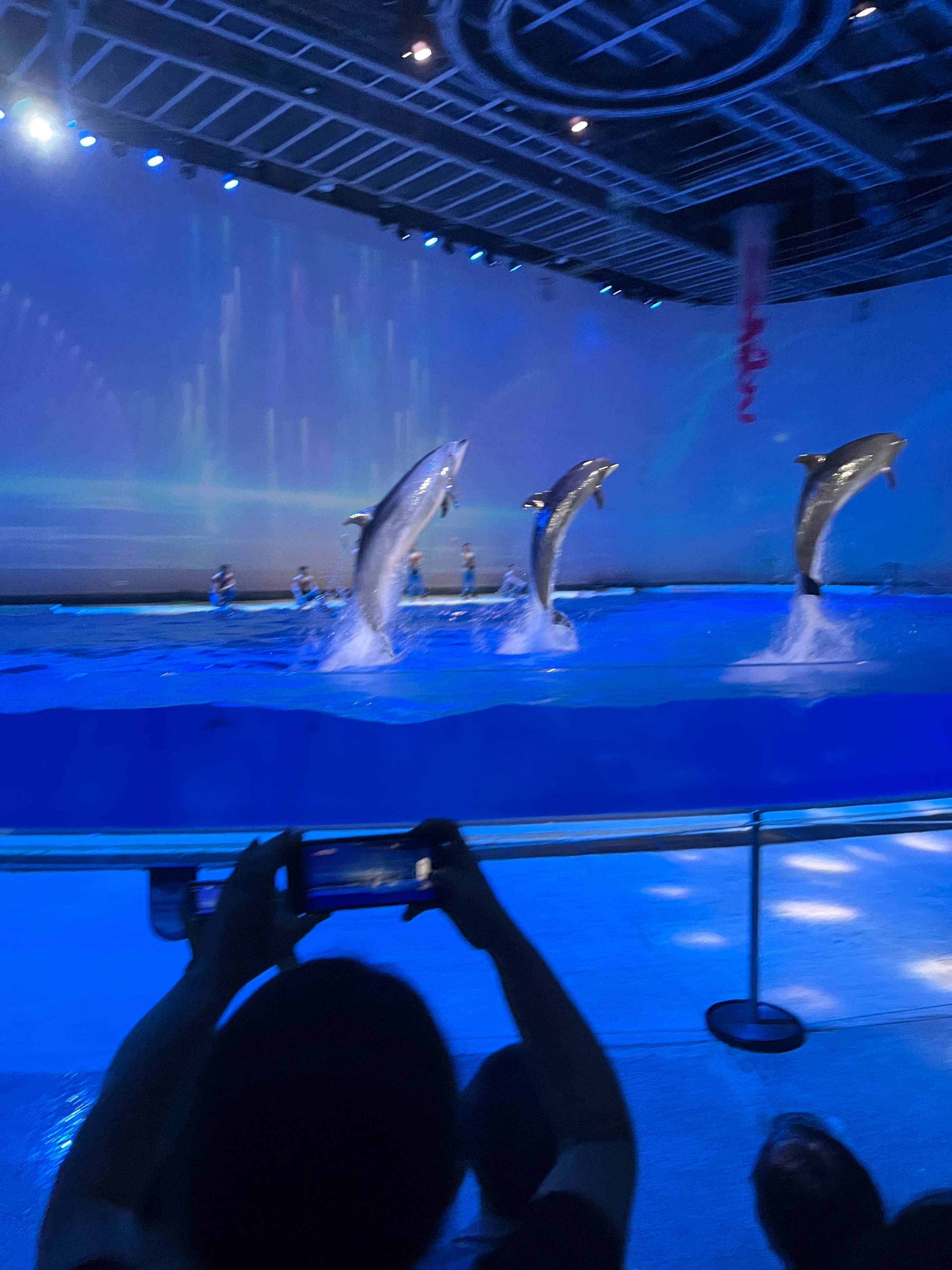 日本奥特曼主题公园旅游,上海奥特曼海昌海洋公园特惠门票