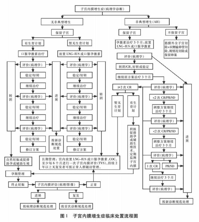 派特灵派特生物科普｜子宫内膜增生性疾病长期管理专家建议