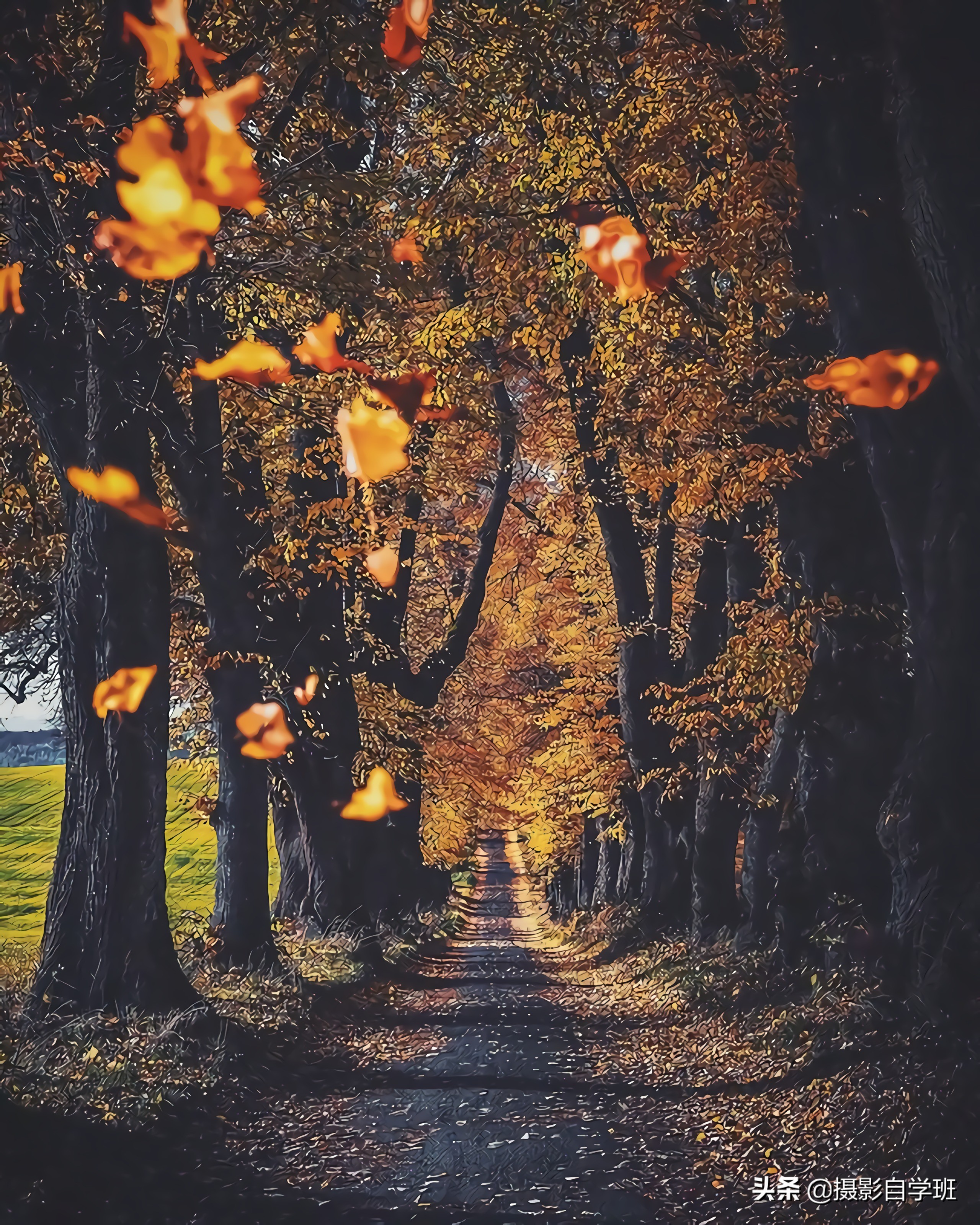 普通人学摄影的真实感受,普通人学摄影一个月